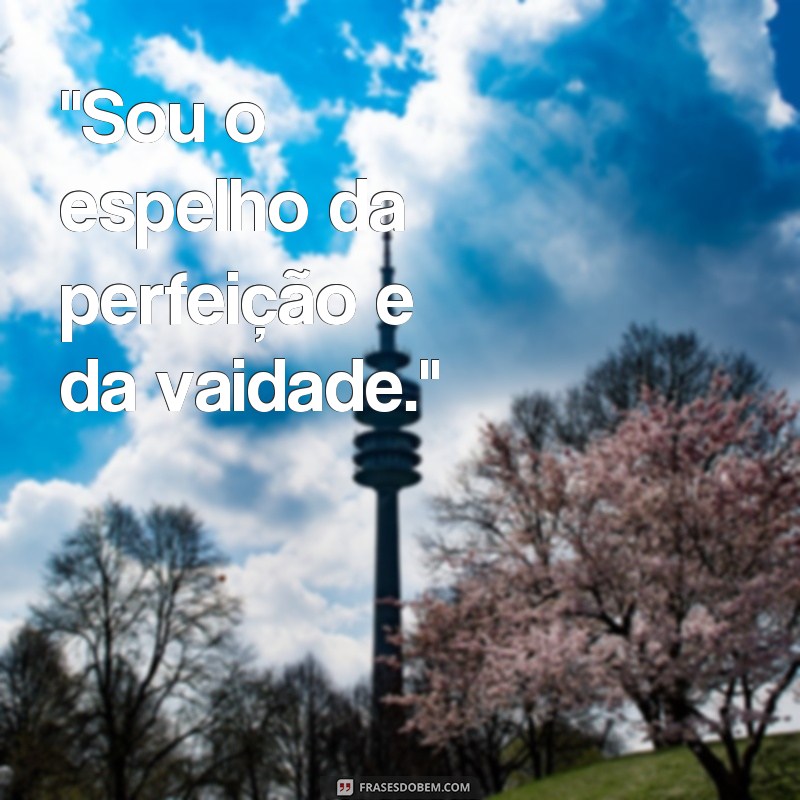 frases de vaidade 