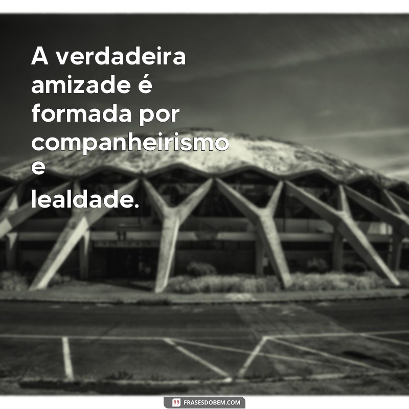 Descubra o verdadeiro significado do companheirismo através de frases inspiradoras 