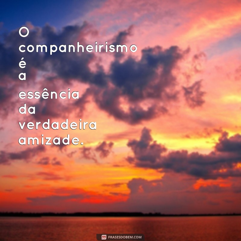 frases companheirismo significado O companheirismo é a essência da verdadeira amizade.