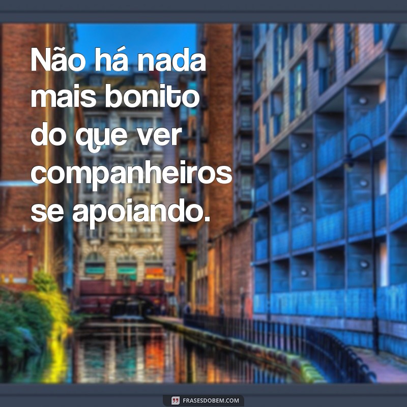 Descubra o verdadeiro significado do companheirismo através de frases inspiradoras 