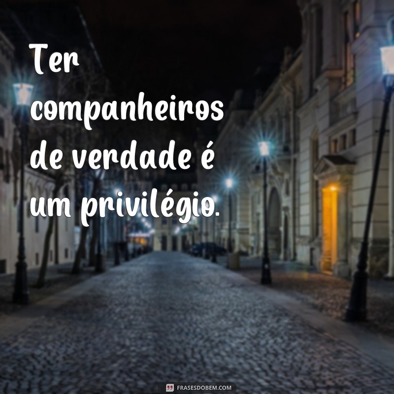 Descubra o verdadeiro significado do companheirismo através de frases inspiradoras 