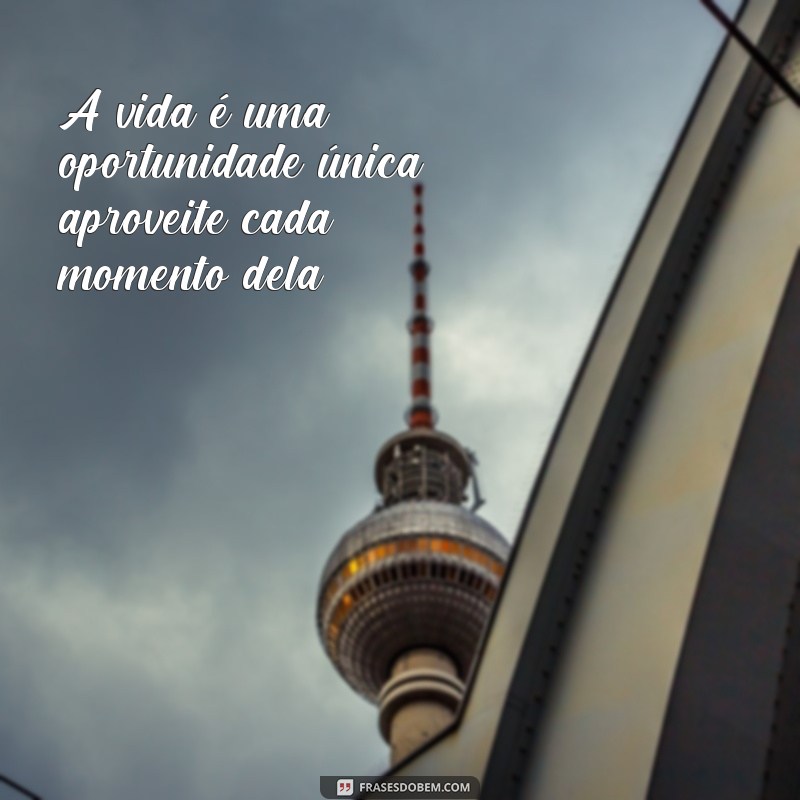 frases de incentivo de vida A vida é uma oportunidade única, aproveite cada momento dela!