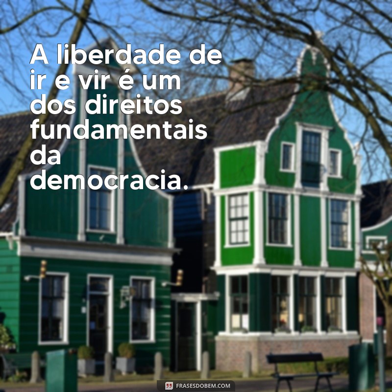 Descubra as melhores frases sobre democracia e liberdade para inspirar sua visão de mundo 