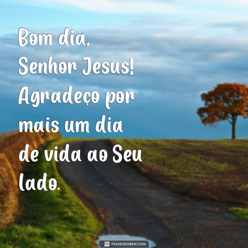 frases bom dia senhor jesus Bom dia, Senhor Jesus! Agradeço por mais um dia de vida ao Seu lado.