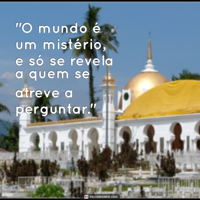 frases de paulo leminski 