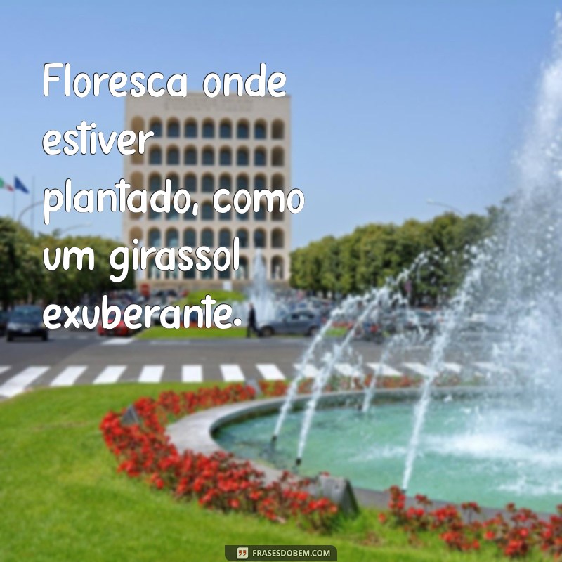 Frases Inspiradoras de Girassol para Status: Ilumine Suas Redes Sociais 