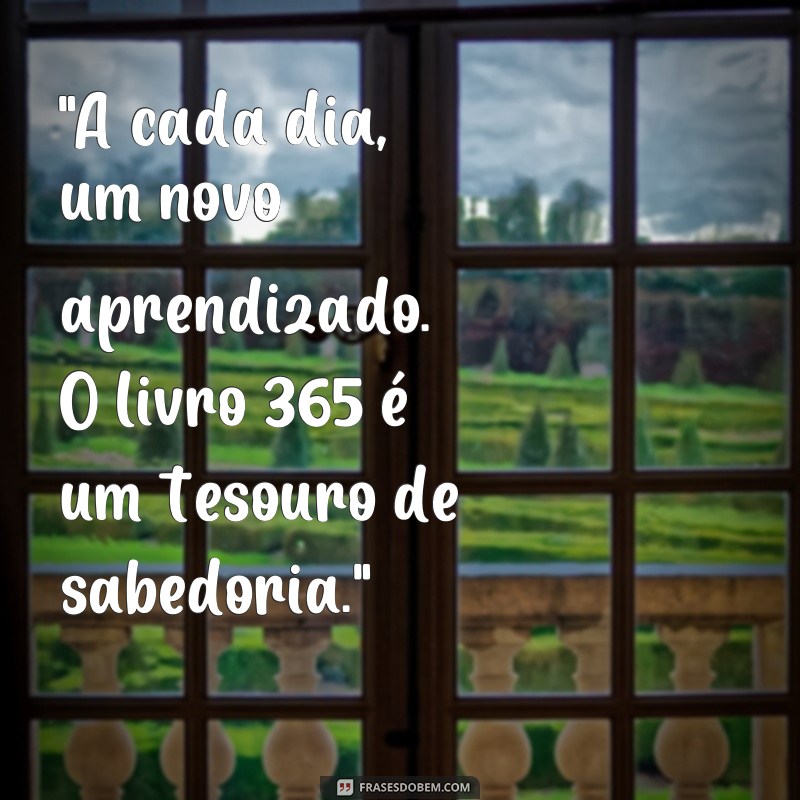 frases livro 365 