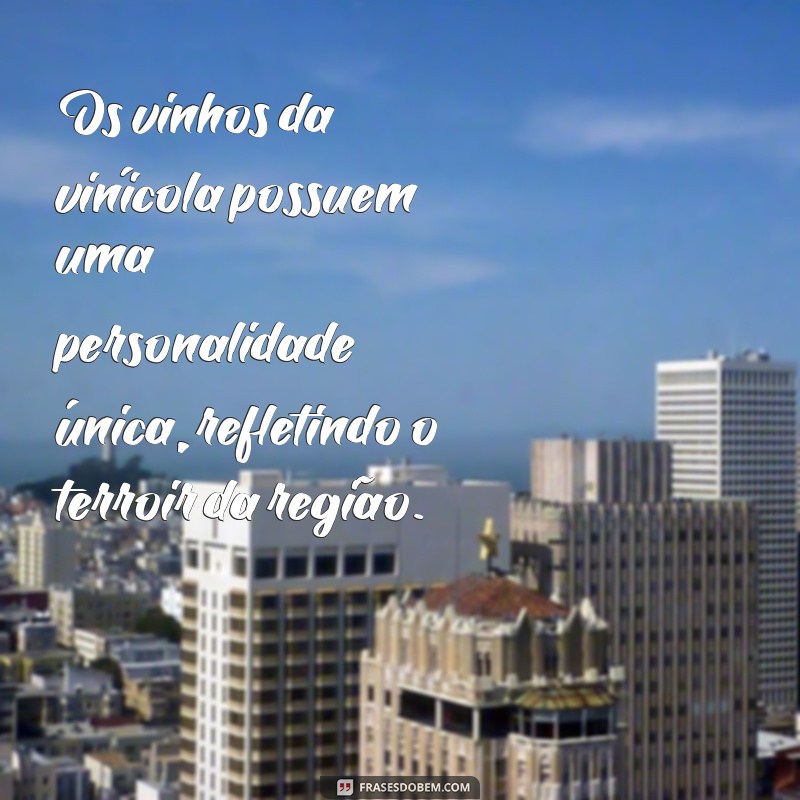 Descubra as melhores frases inspiradoras sobre vinho na Vinícola 