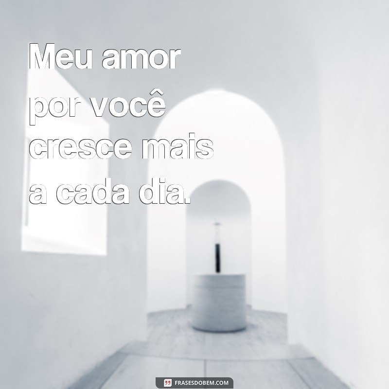 frases de amor pro boy Meu amor por você cresce mais a cada dia.