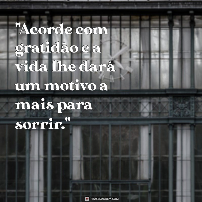 frases de bom.dia motivacional 