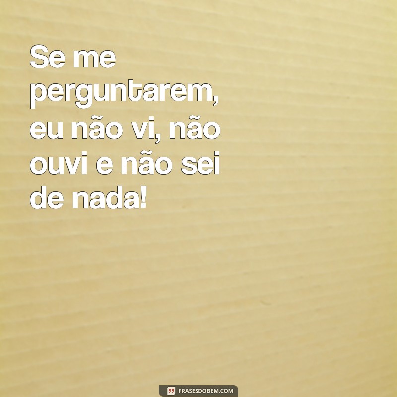 Conheça as melhores frases de Dona Hermínia para se divertir e se identificar 