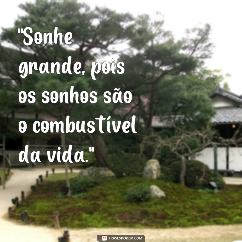 frases motivacionais de sonhos 