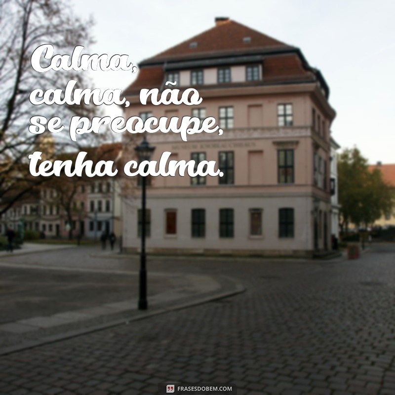 frases calma calma não se preocupe tenha calma Calma, calma, não se preocupe, tenha calma.