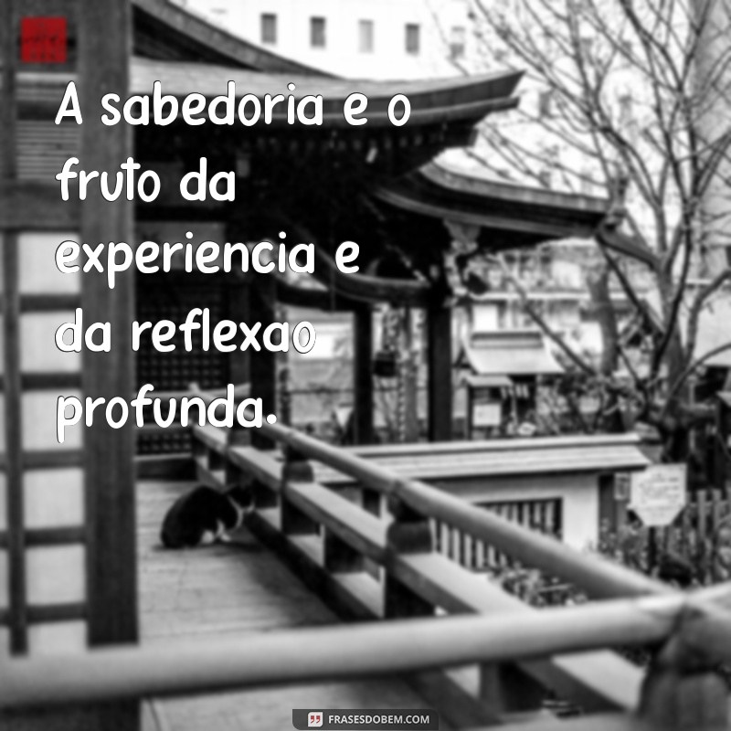 Frases Inspiradoras para Comemorar a Conquista do Seu Grau 