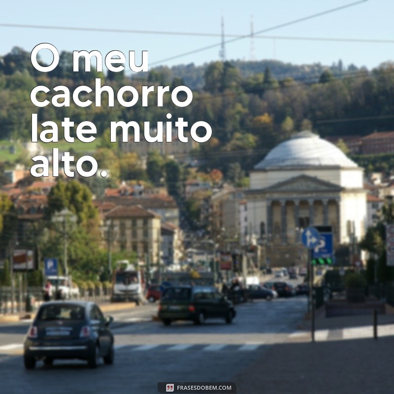 Descubra os erros mais comuns da língua portuguesa em frases: dicas para evitar equívocos 
