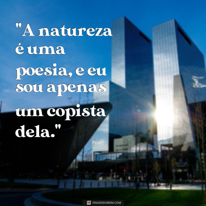 frases manoel de barros frases 