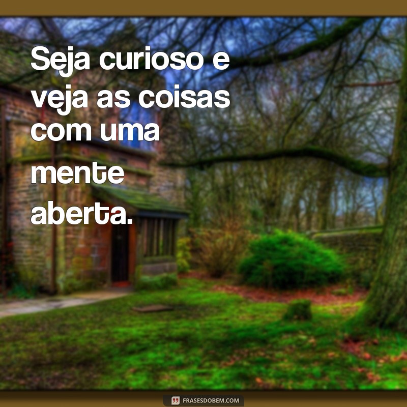 Descubra as melhores frases de perspectiva para mudar sua visão de mundo 