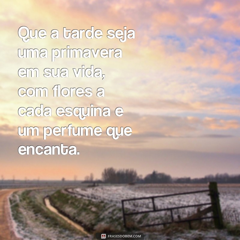 Encante suas tardes com lindas frases acompanhadas de flores 