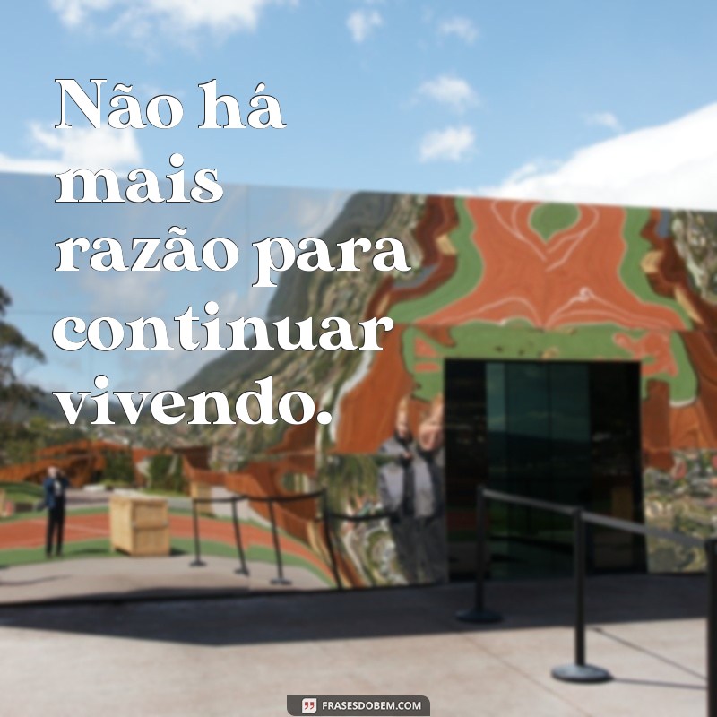 frases de se matar Não há mais razão para continuar vivendo.