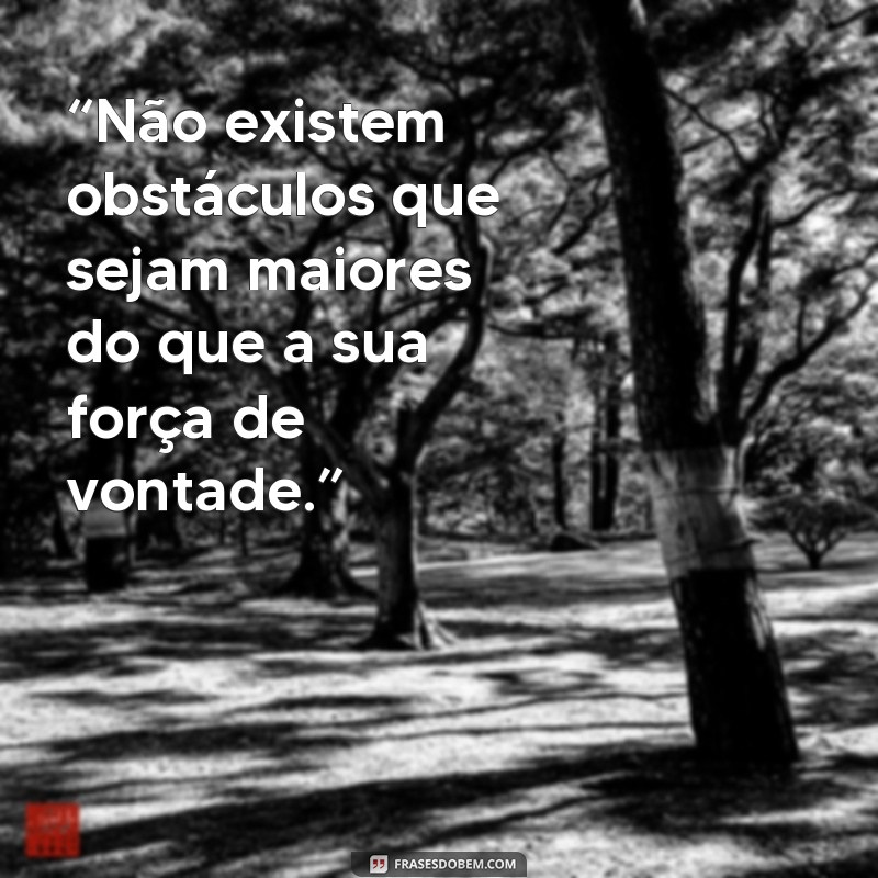 frases de motivação cortella “Não existem obstáculos que sejam maiores do que a sua força de vontade.”