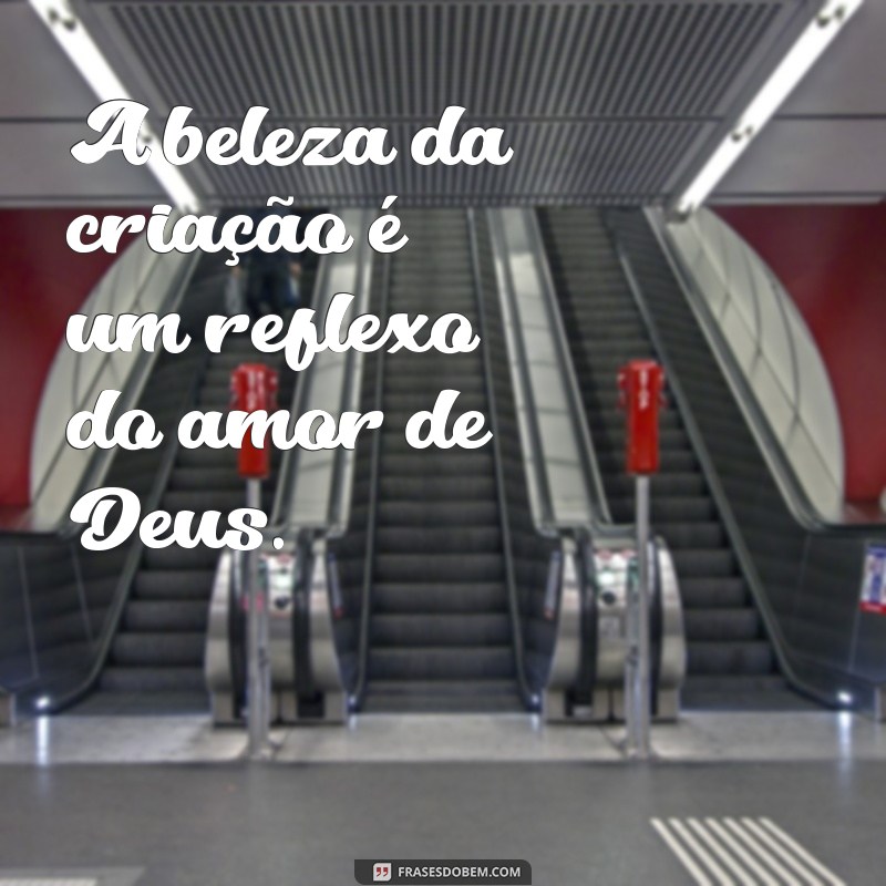 Frases Inspiradoras de Adoração a Deus para Usar no Seu Status 