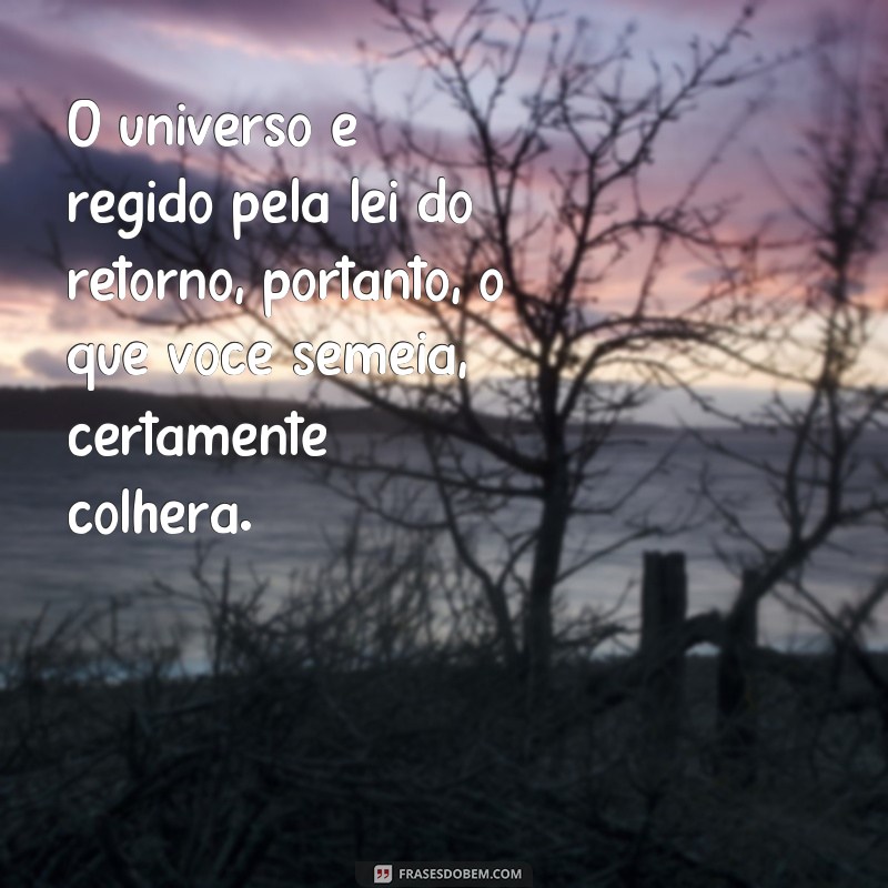 Descubra as melhores frases sobre a Lei do Retorno para atrair positividade em sua vida 