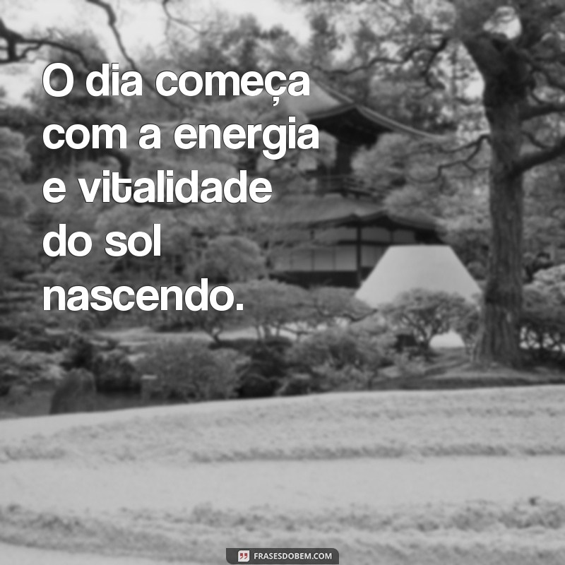 Descubra as mais inspiradoras frases do sol nascendo para começar o dia com energia 