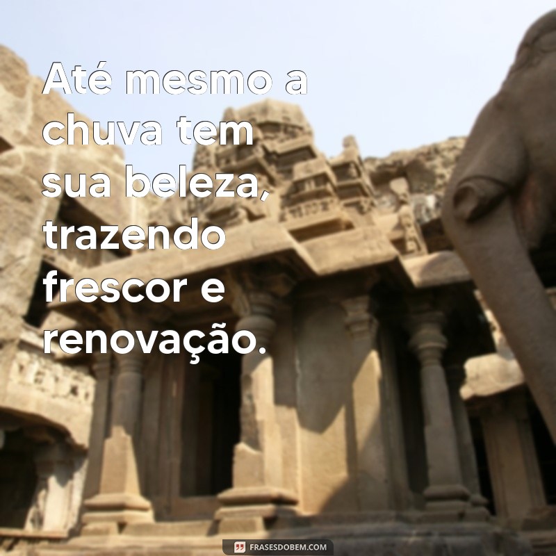 Frases Inspiradoras para Apreciar o Momento: Observando a Beleza do Cotidiano 