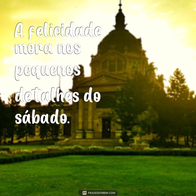 Encante seus seguidores com lindas frases e fotos de bom dia sábado! 