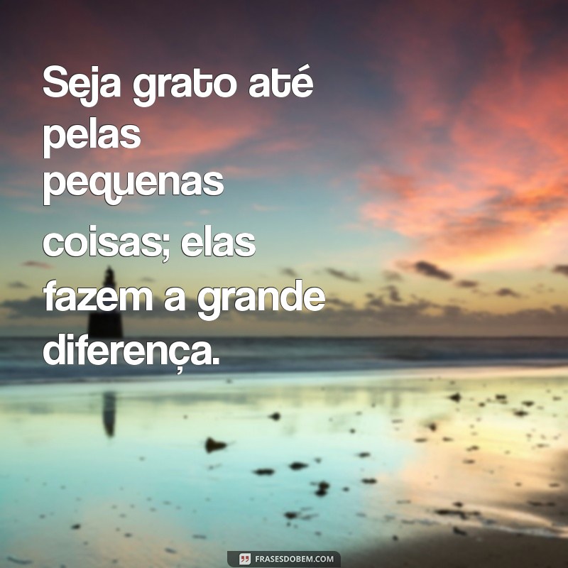 30 Frases Inspiradoras para Cultivar a Gratidão em Sua Vida 