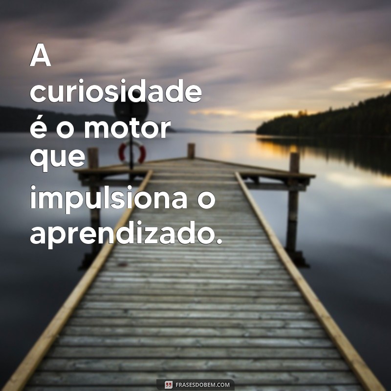 Frases Inspiradoras de Pedagogia para Usar em Seu Status 