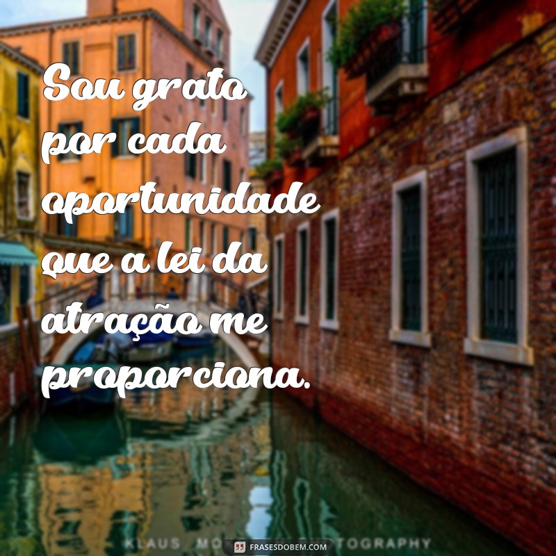 frases de gratidão lei da atração Sou grato por cada oportunidade que a lei da atração me proporciona.