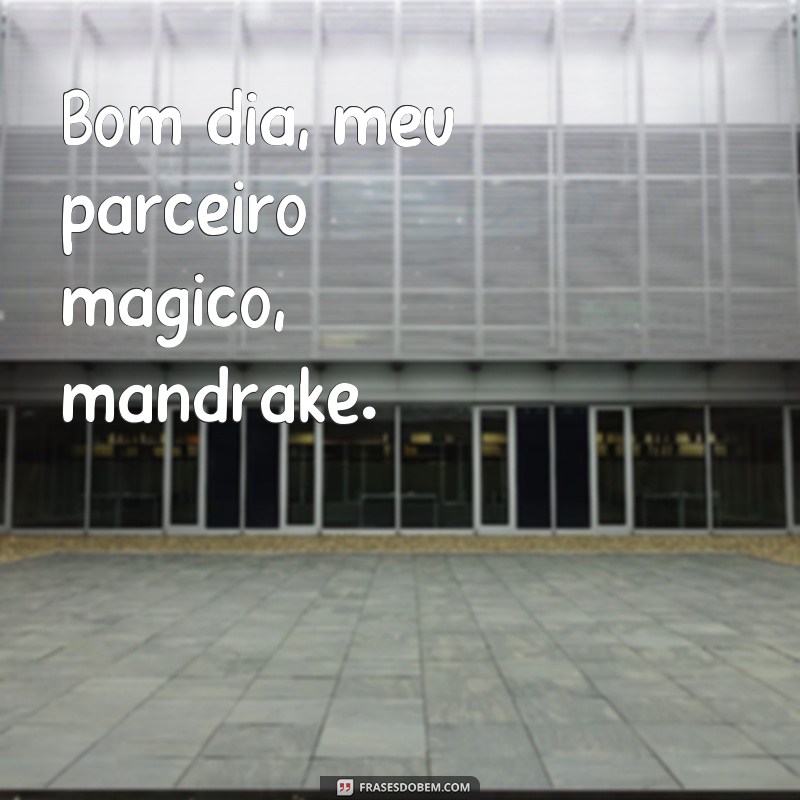 Encante seu dia com as melhores frases de bom dia mandrake 