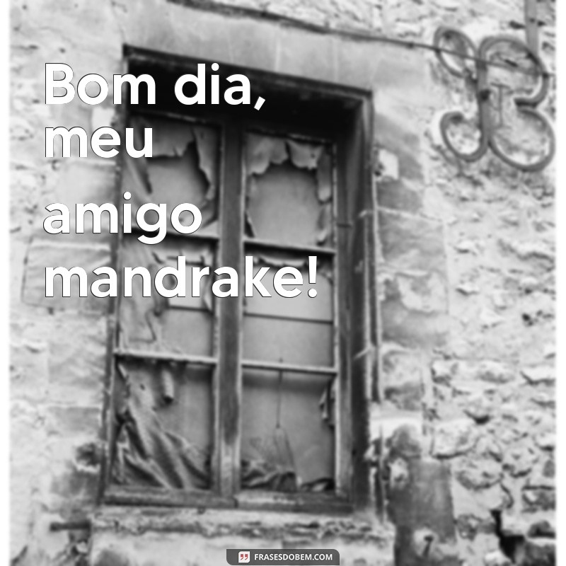 frases de bom dia mandrake Bom dia, meu amigo mandrake!