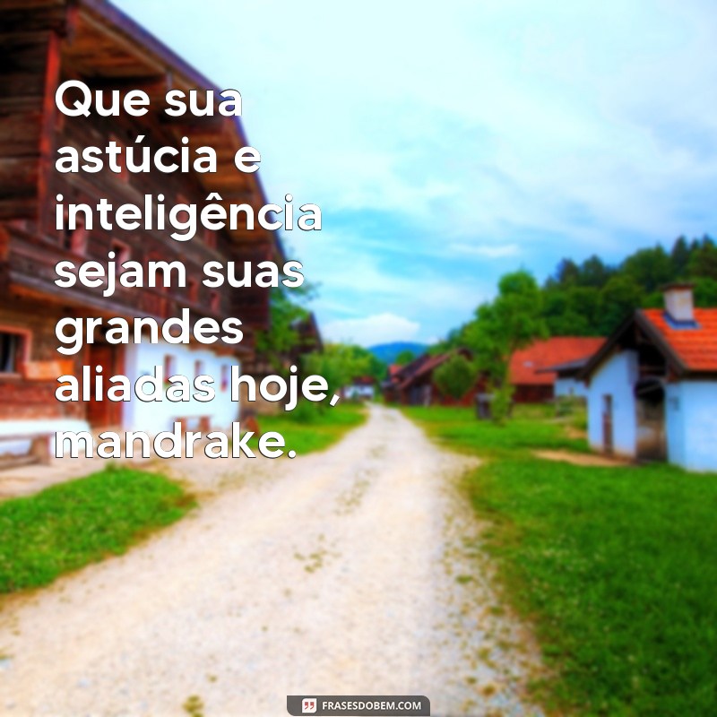 Encante seu dia com as melhores frases de bom dia mandrake 