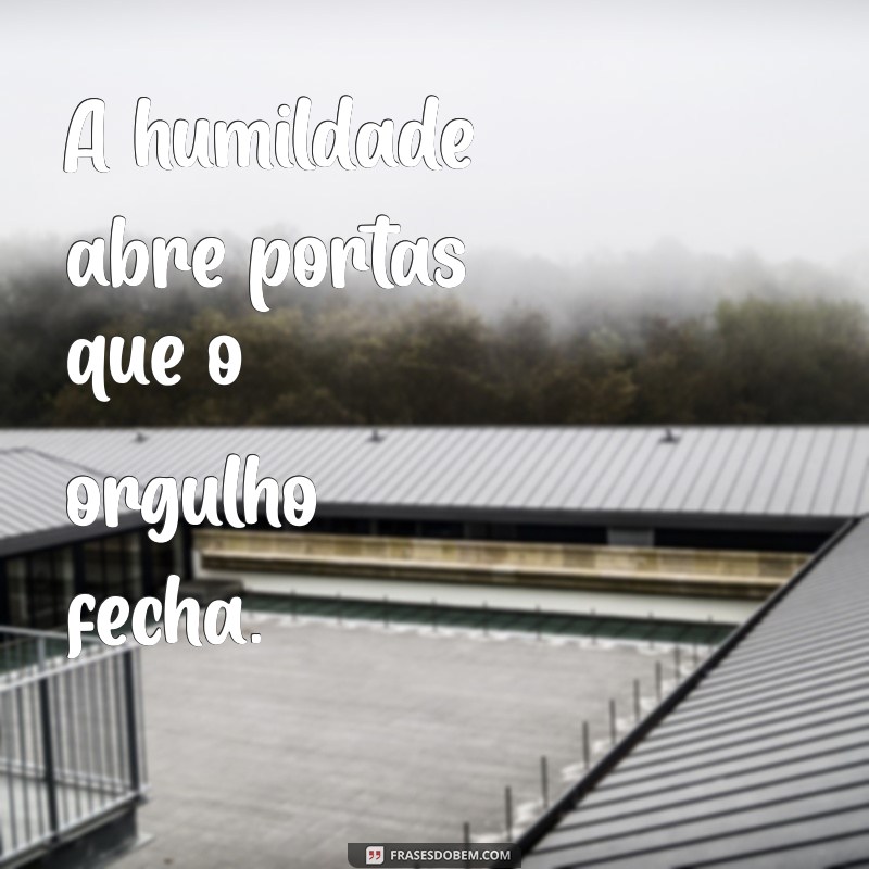 As Melhores Frases de Humildade para Inspirar e Refletir 