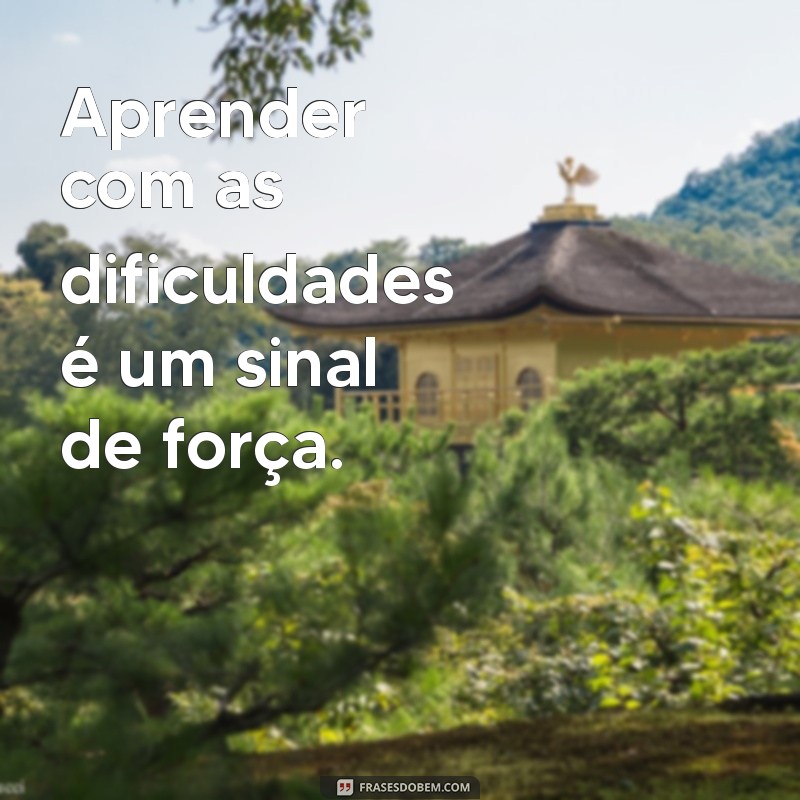 As Melhores Frases de Jó para Inspirar Seu Status nas Redes Sociais 