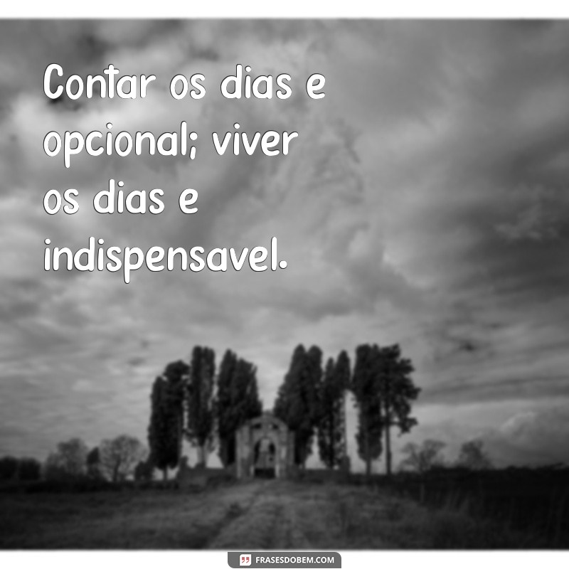 100 Frases Criativas para Bombar Seu Instagram e Engajar Seus Seguidores 