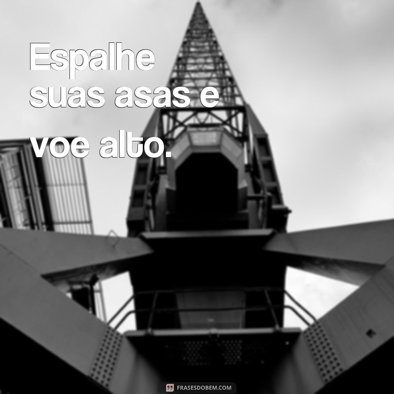 Encante seus seguidores com as melhores frases para bio do Instagram 