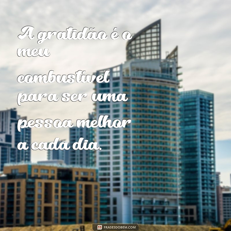 Descubra as melhores frases de gratidão para expressar sua apreciação 