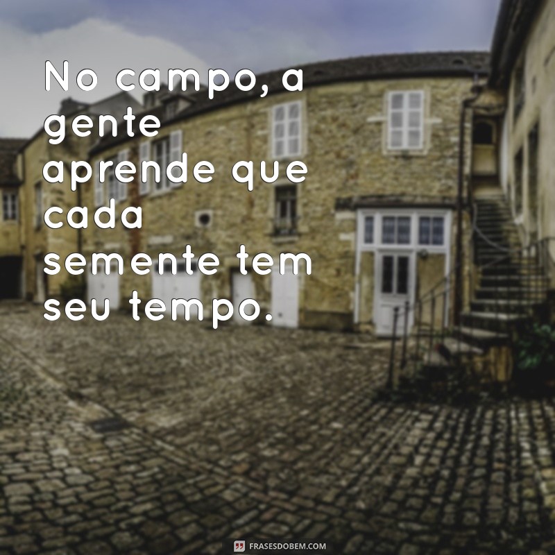 As Melhores Frases de Agroboy para Expressar Sua Paixão pelo Campo 