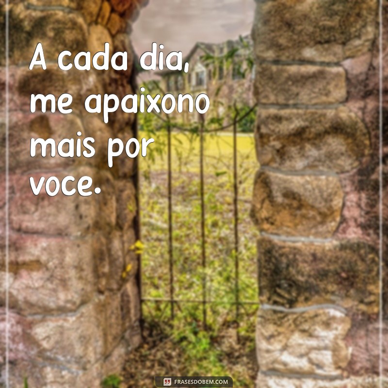 Frases Curtas de Amor para Encantar sua Namorada 