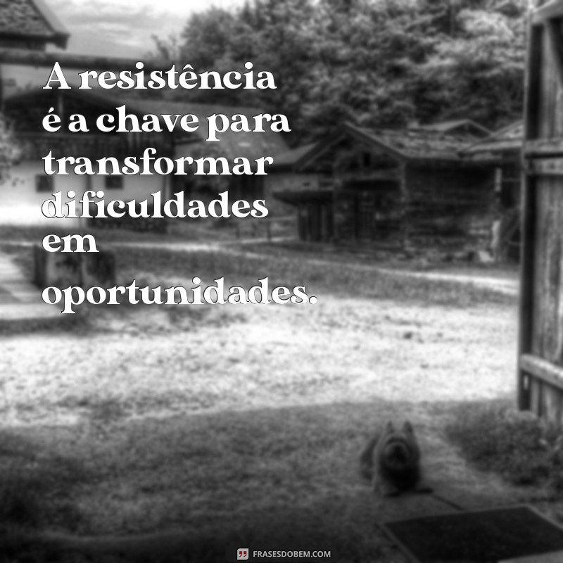 Frases Inspiradoras de Luta e Superação para Motivar sua Jornada 