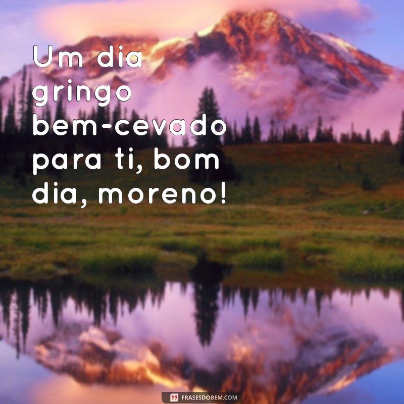 Encante seus amigos com as melhores frases de bom dia gaúcho para enviar pelo WhatsApp 