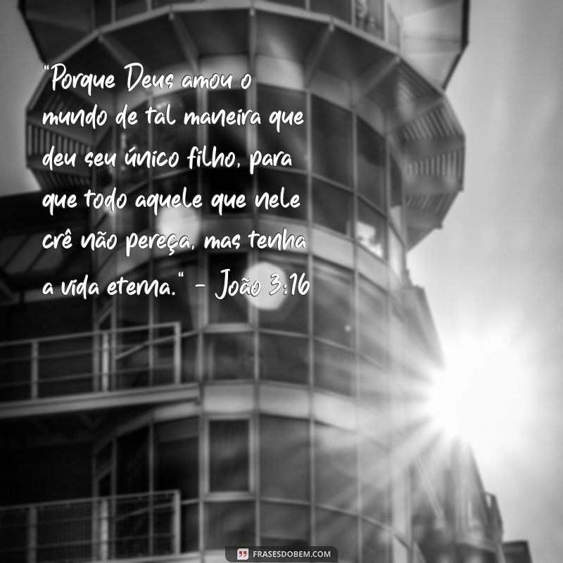 frases versículo que fala do amor de Deus 