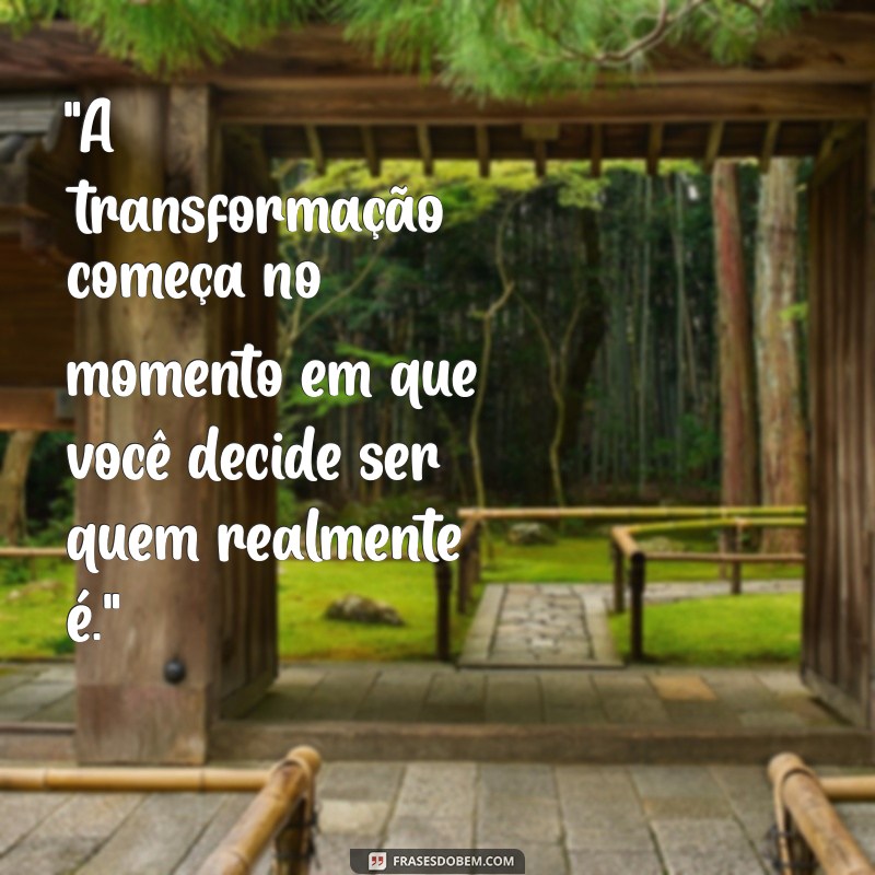 frases de transformação 