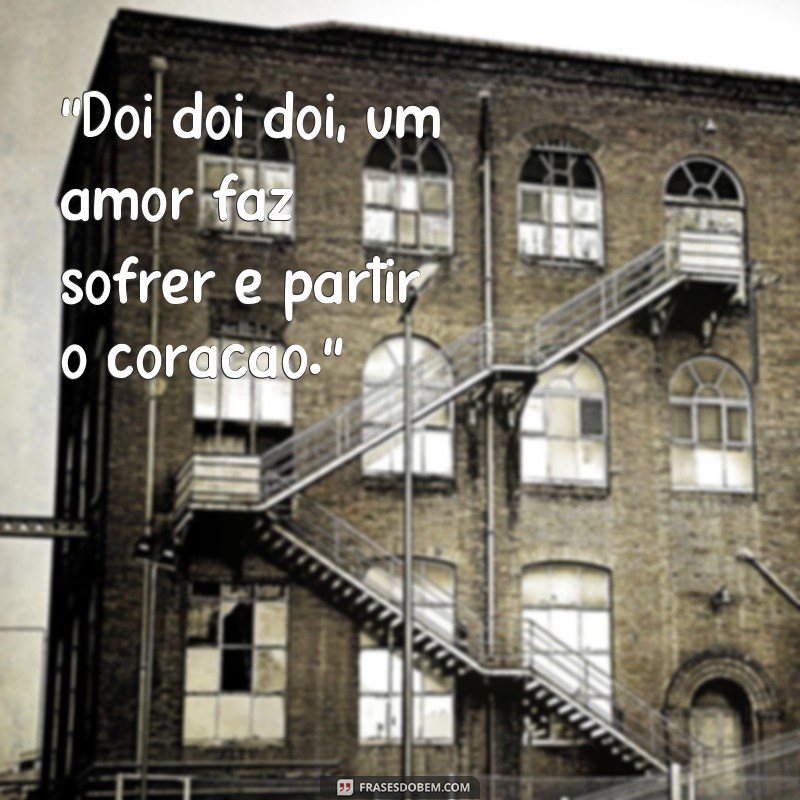 frases doi doi doi um amor faz sofrer 