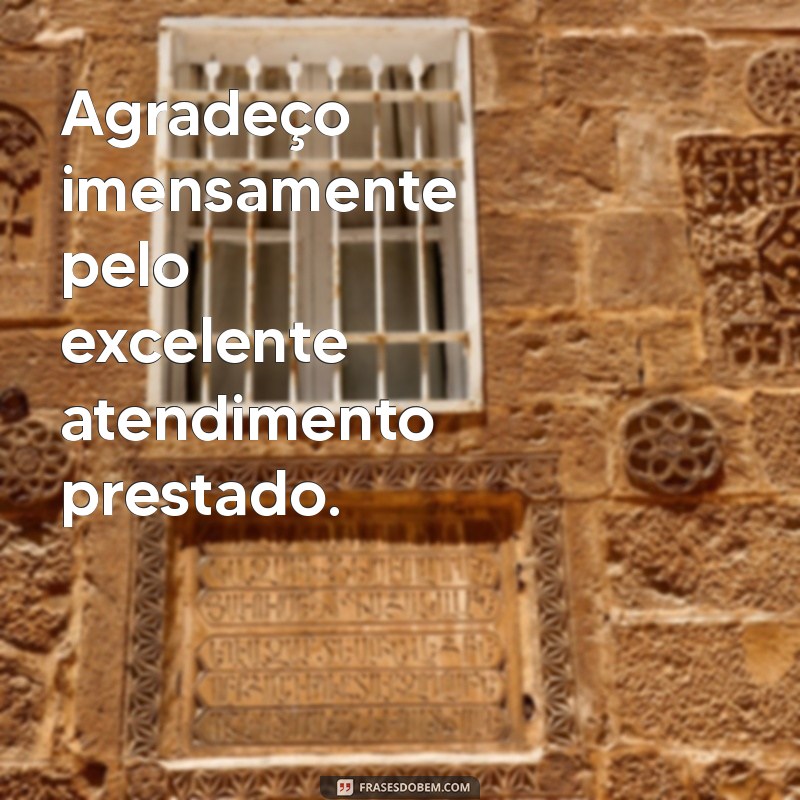 frases de agradecimento pelo atendimento prestado Agradeço imensamente pelo excelente atendimento prestado.