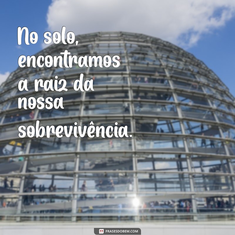 Frases Inspiradoras sobre Agricultura: Cultivando Sabedoria e Sustentabilidade 