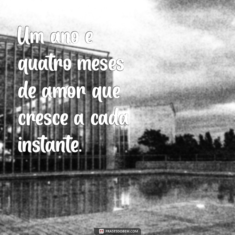 frases de 1 ano e 4 meses de namoro Um ano e quatro meses de amor que cresce a cada instante.